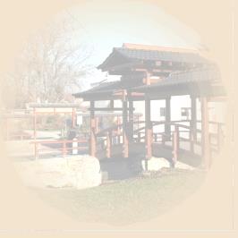 Falk Giese - Japanischer Garten  Bad Langensalza